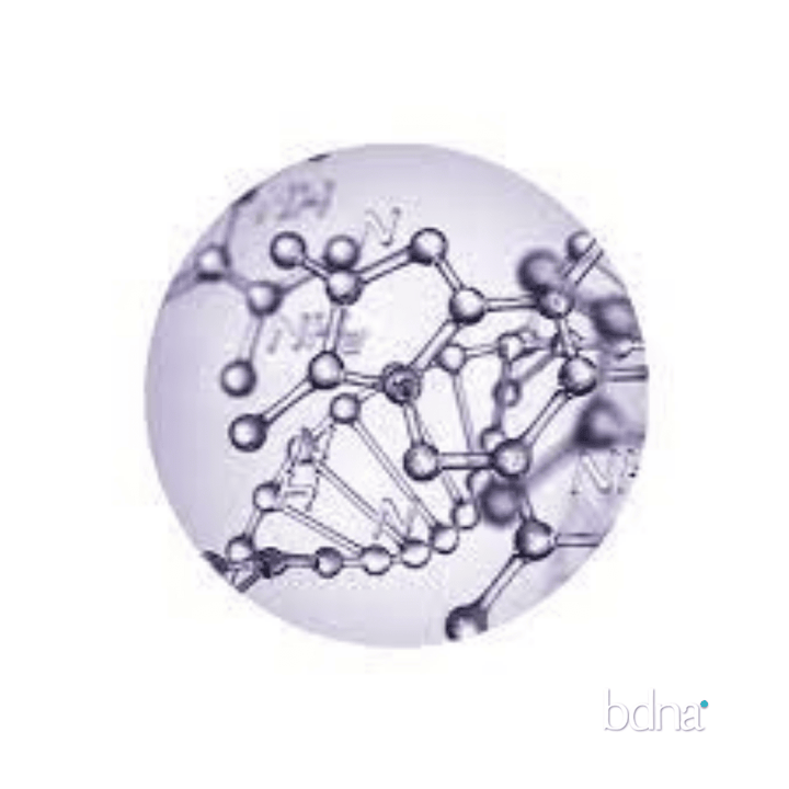 RGnerin Nutri+ Rich Wrinkle Cream - Casmara - Badana